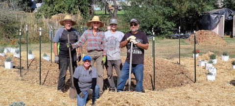 Farm Work Volunteer Day